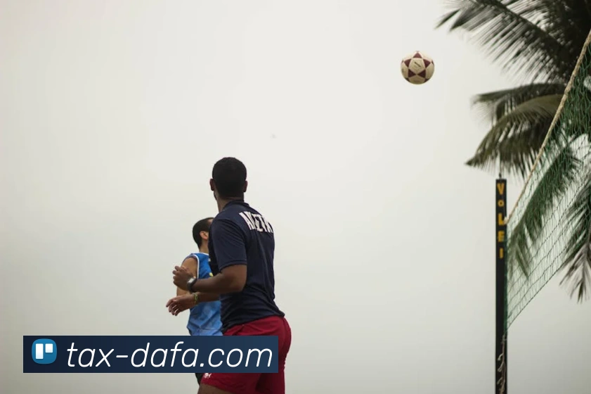 大发彩票平台生态图